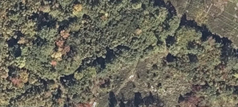 Heidi Ln