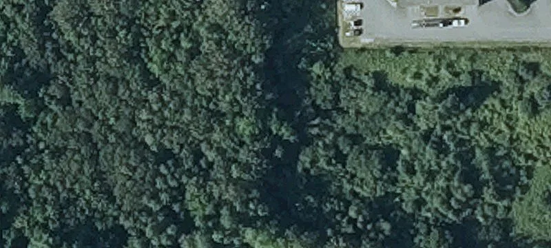 Whitten Rd