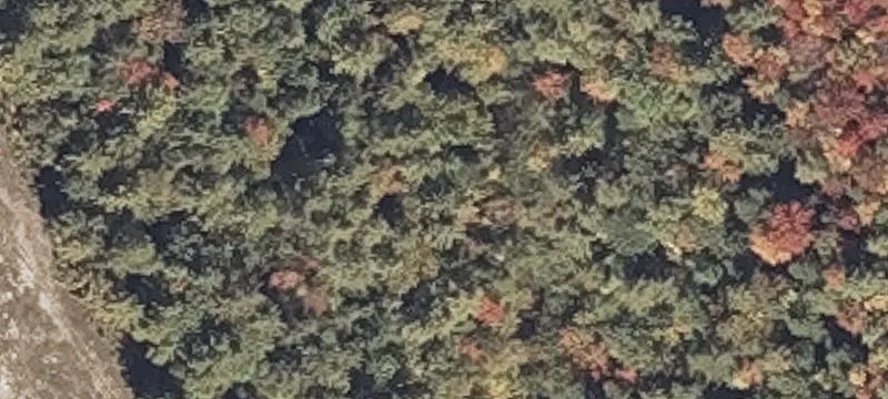Skydive Ln