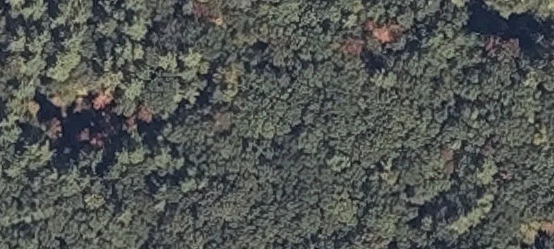 Dow Hwy