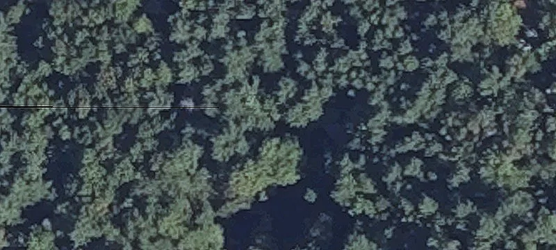 Wickett Farm Rd