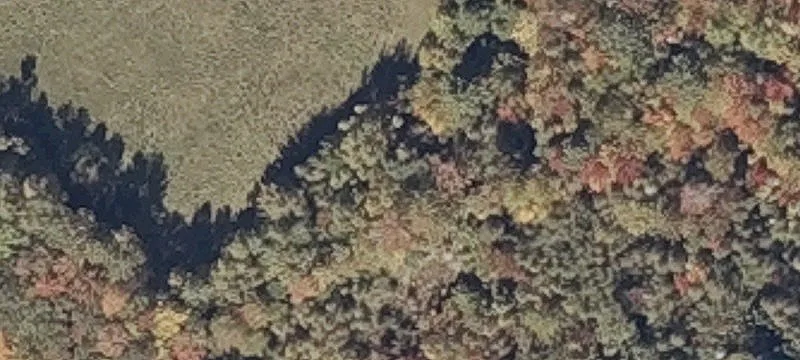 Pitcher Rd