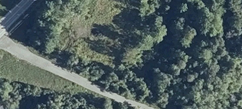 Drummond Ave