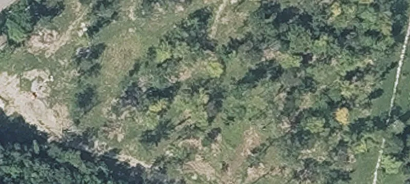 Peck Farm Rd