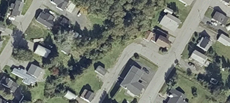 Nivard Ave