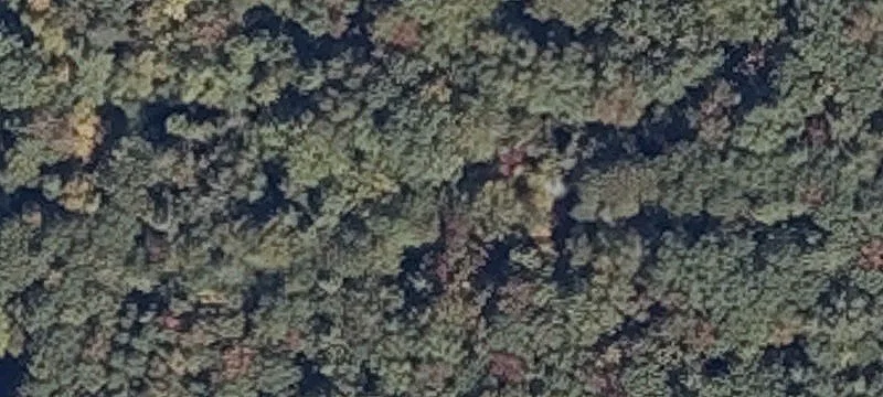 38 Captain Samuel Reed Dr