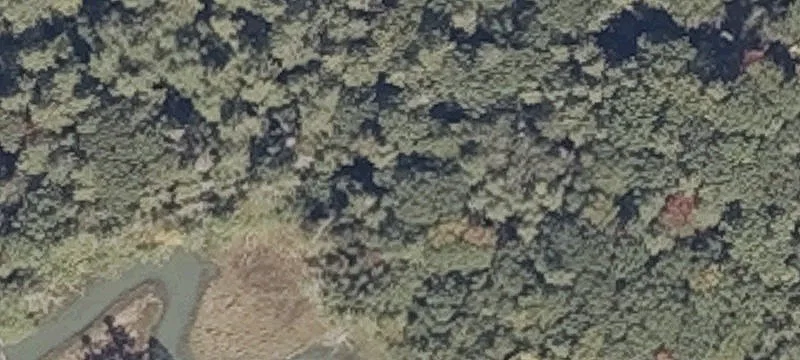 Wolfes Nck Rd