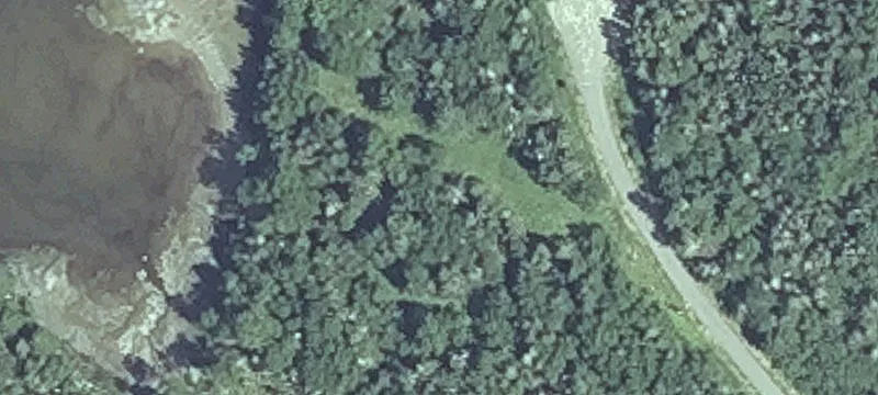 50 Yoho Head Rd