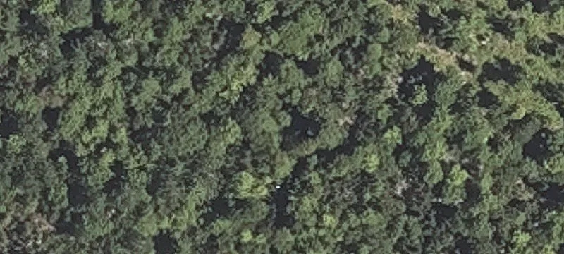 350 Bucksmills Rd