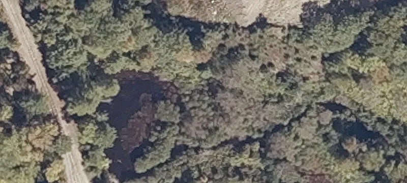 Lewiston Rd