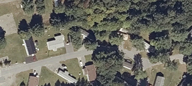 Pne Tree Ln