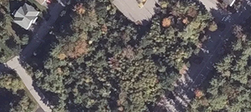 Clearwater Dr