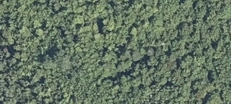 Side Rd