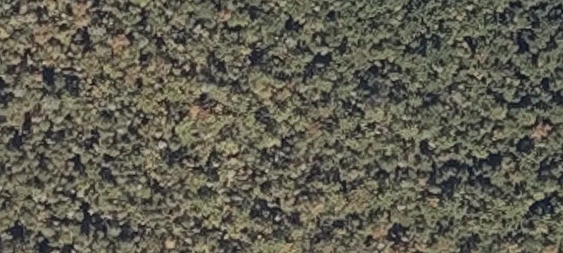 Munson Rd