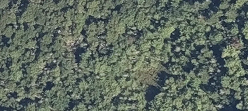 Marsh Hbr Rd