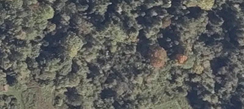 Old County Rd