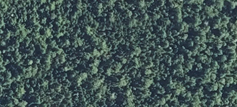 Princeton Rd