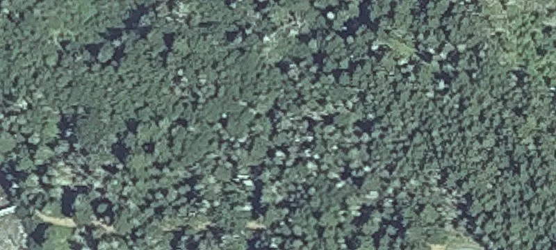 51 Yoho Head Rd