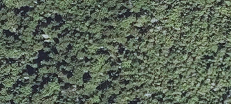 Stones Pt Rd