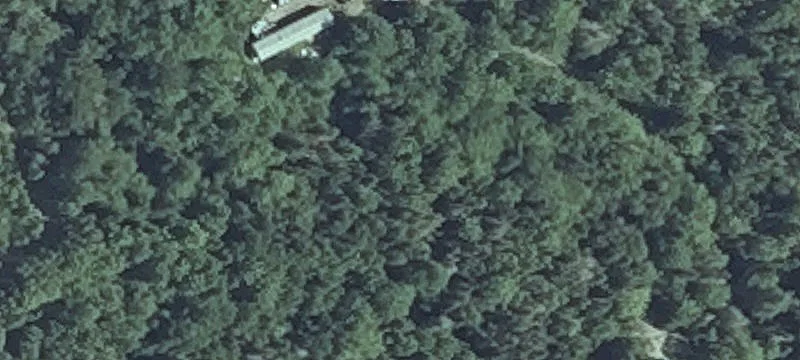 5 Campbell Rd