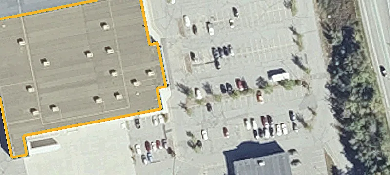 Kingsland Xing