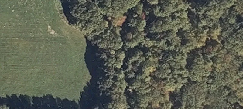 Shaker Hl Rd