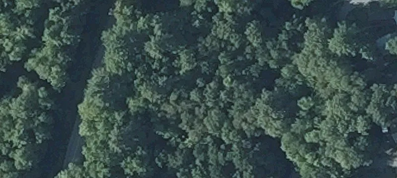 Mcgrath Pond Rd