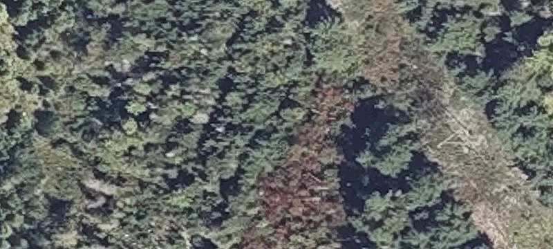 Rebel Hl Rd