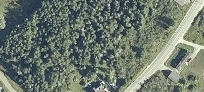 Mason Bay Rd
