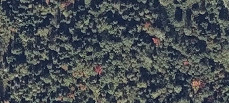 440 Michigan Settlement Rd