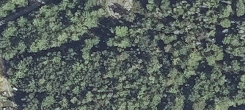 Pond Shr Way
