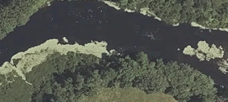 Narramissic Dr