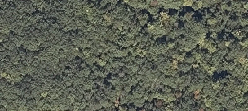 Hooper Pond Rd