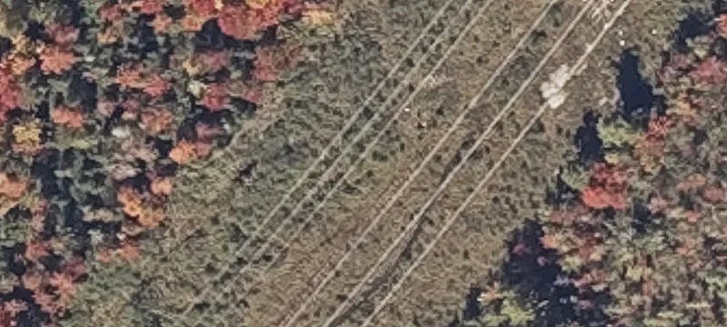 Morrill, ME 04952