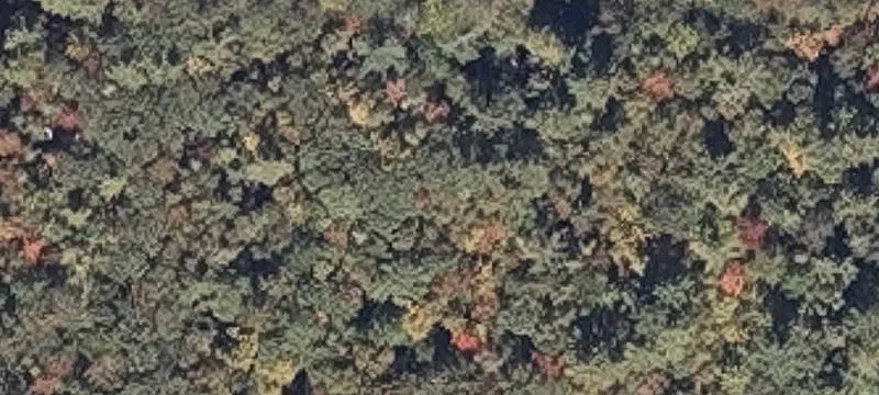 Rowe Hl Rd