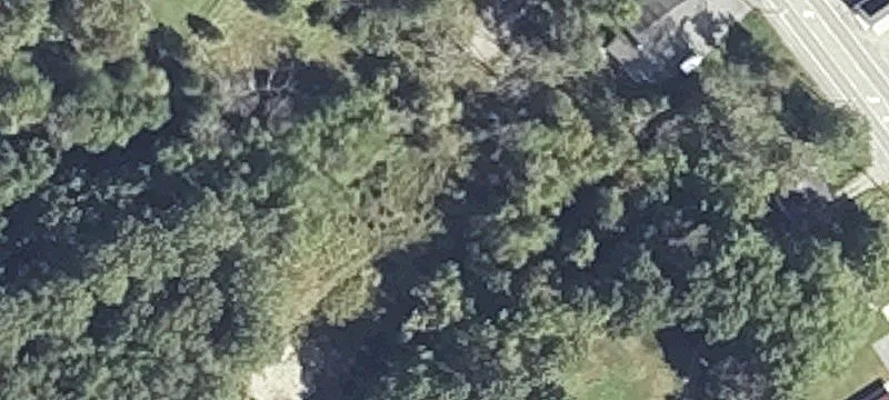 4 Bangor Rd