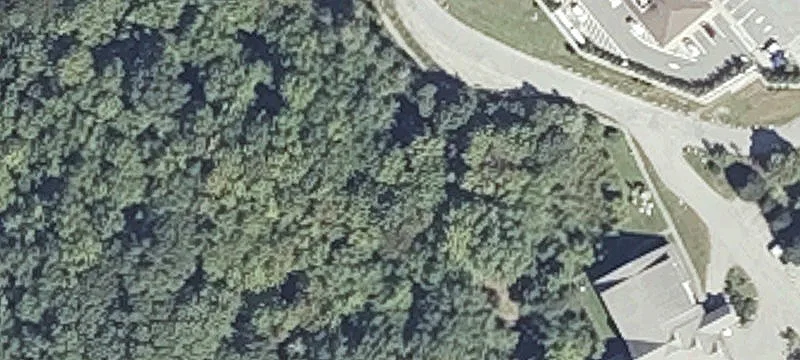 Edgewood Way