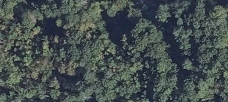 1313 Bald Mtn Rd