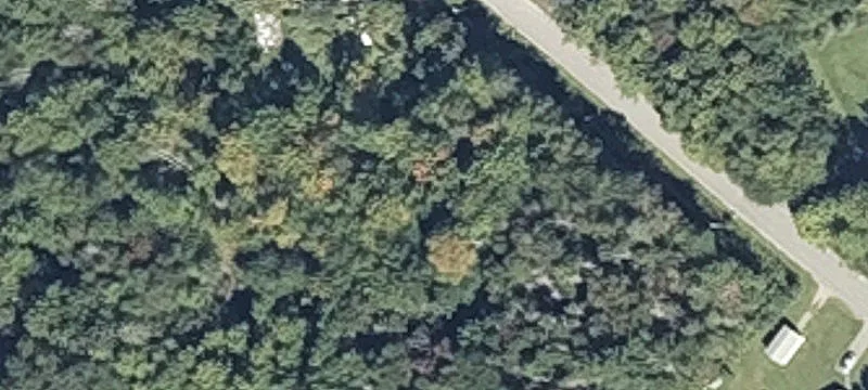 Harris Rd