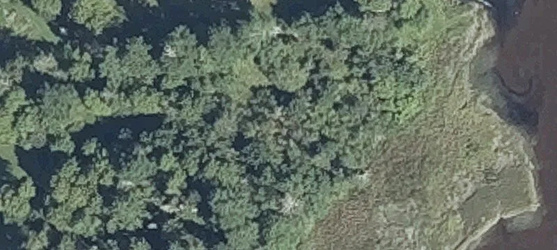 Columbia Falls, ME 04623