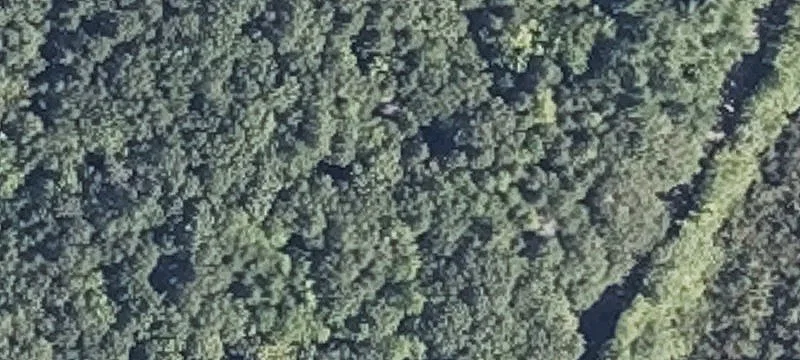 1 Caribou Way