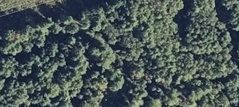 45 Airline Rd