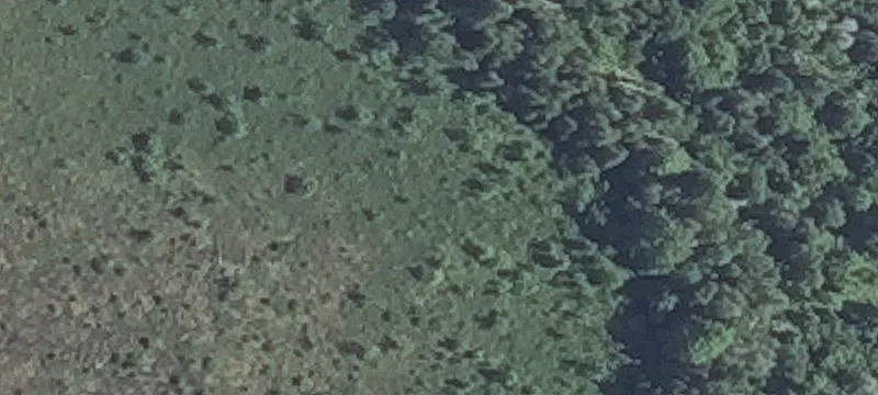 Little Lk Rd