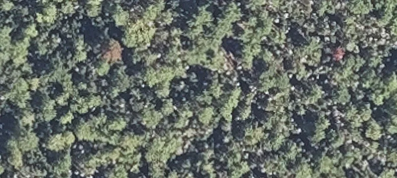 420 Christian Rdg Rd