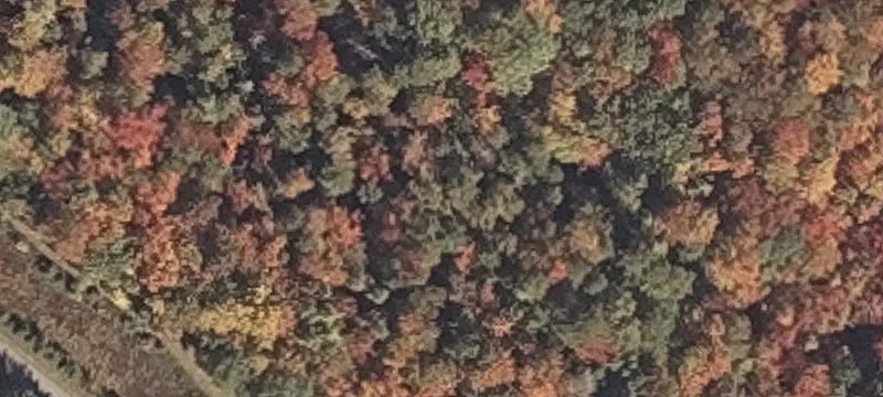 Juniper Way