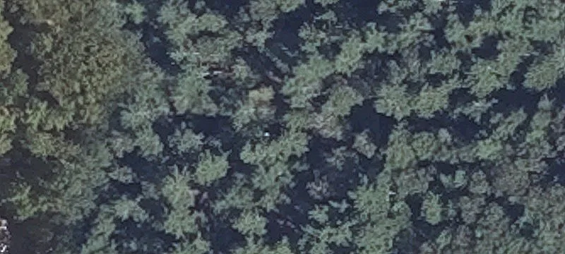 1197 Acadia Hwy