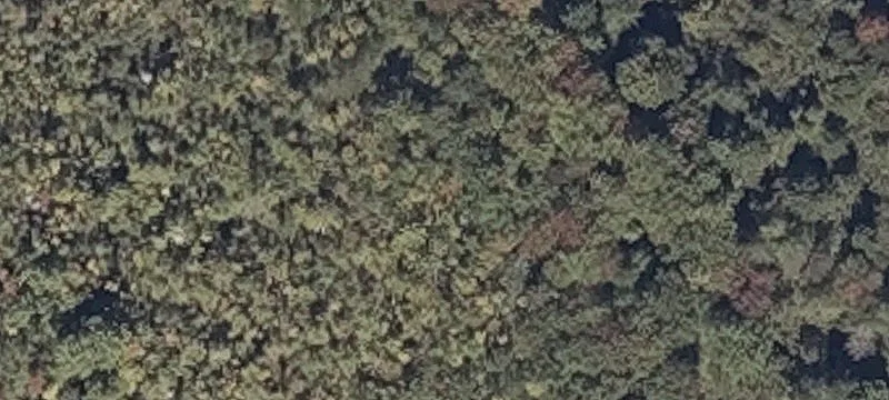 Hooper Pond Rd
