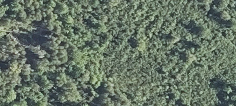 Nn St