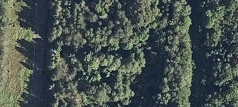 Range Dr