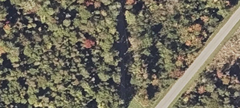 32 Patterson Rd